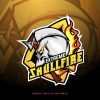 imgi_70_vector-ripper-skull-mascot-logo-design_47987-14046